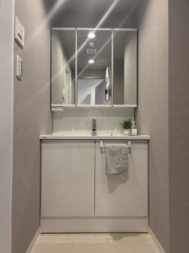 洗面化粧台(内装)