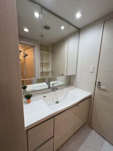 洗面化粧台(内装) 洗面化粧台(内装)