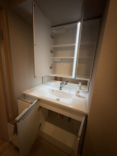 洗面化粧台(内装) 洗面化粧台(内装)