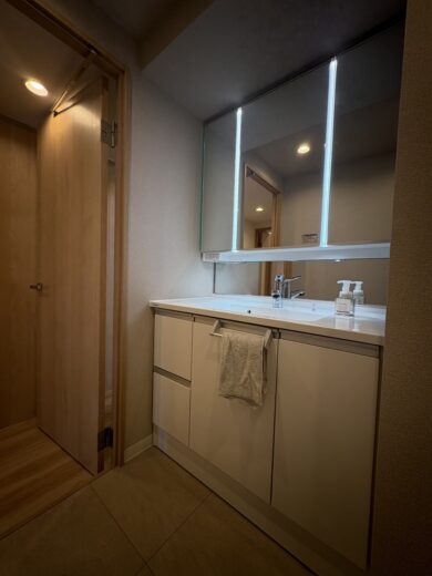 洗面化粧台(内装) 洗面化粧台(内装)