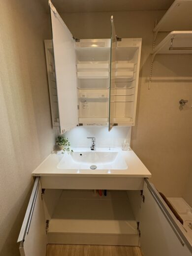 洗面化粧台(内装)