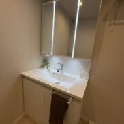 洗面化粧台(内装)