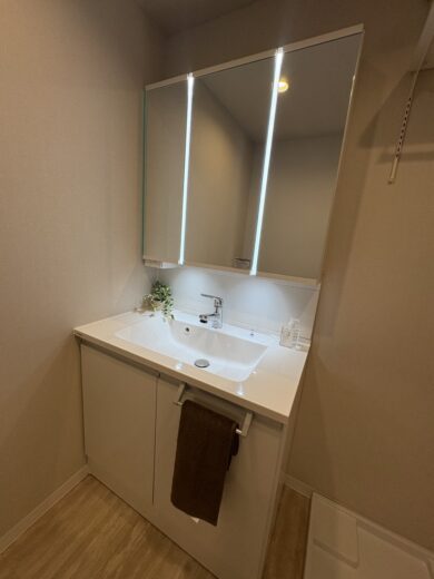 洗面化粧台(内装)