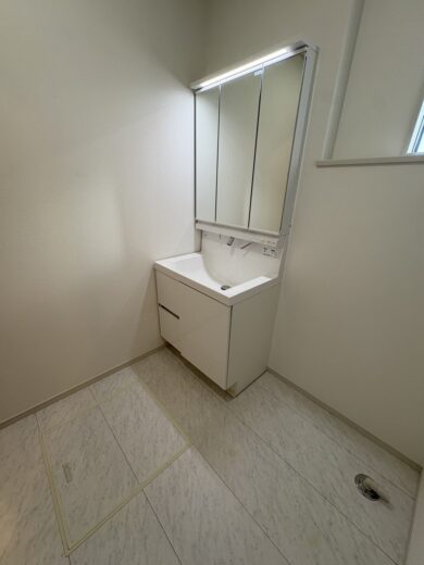 洗面化粧台(内装)