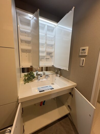 洗面化粧台(内装)