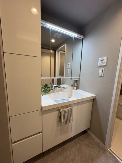 洗面化粧台(内装)