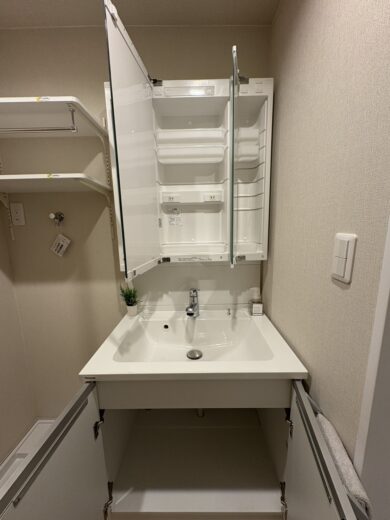 洗面化粧台(内装)