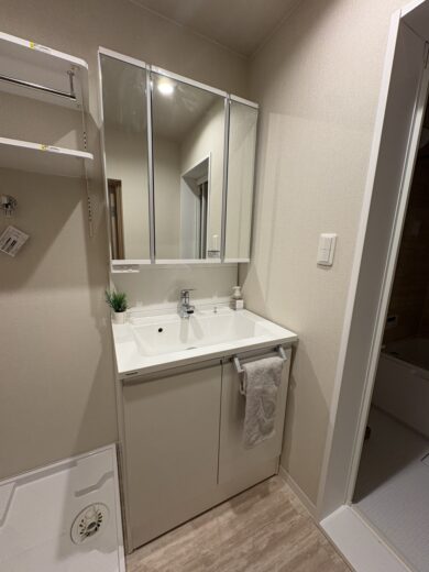 洗面化粧台(内装)