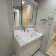 洗面化粧台(内装)