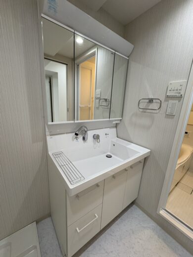 洗面化粧台(内装)