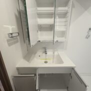 洗面化粧台(内装)