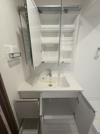 洗面化粧台(内装)