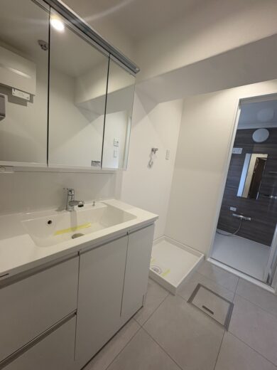 洗面化粧台(内装)