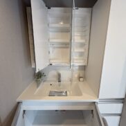 洗面化粧台(内装) 洗面化粧台(内装)