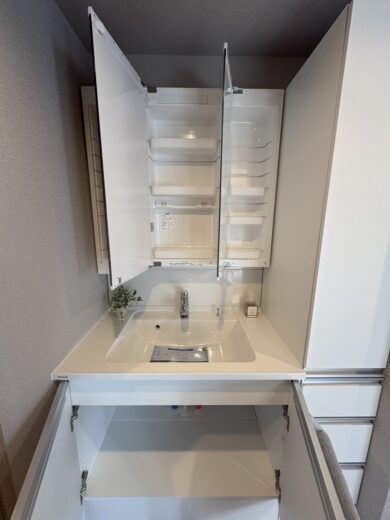 洗面化粧台(内装) 洗面化粧台(内装)