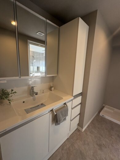 洗面化粧台(内装) 洗面化粧台(内装)