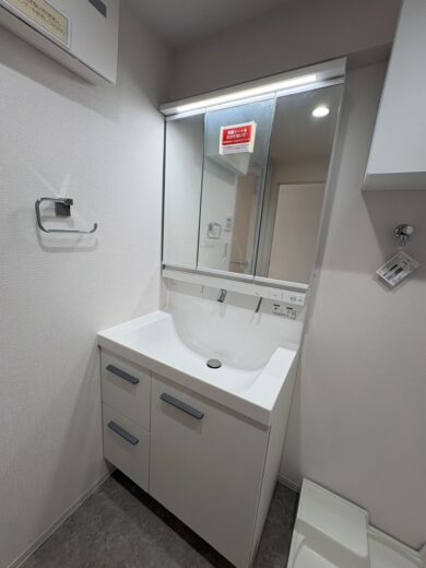 洗面化粧台(内装) 洗面化粧台(内装)