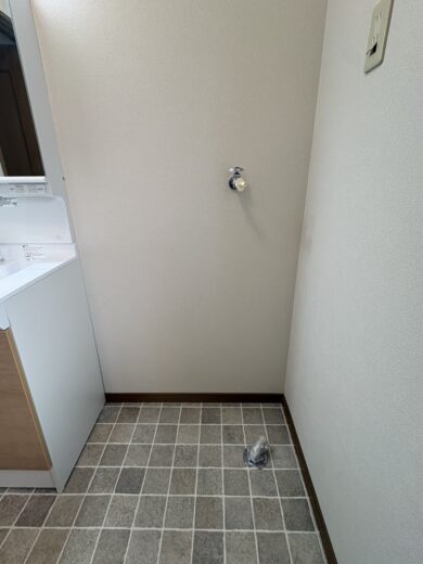 洗濯機置場(内装) 洗濯機置場(内装)