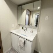 洗面化粧台(内装)