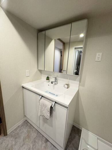 洗面化粧台(内装)