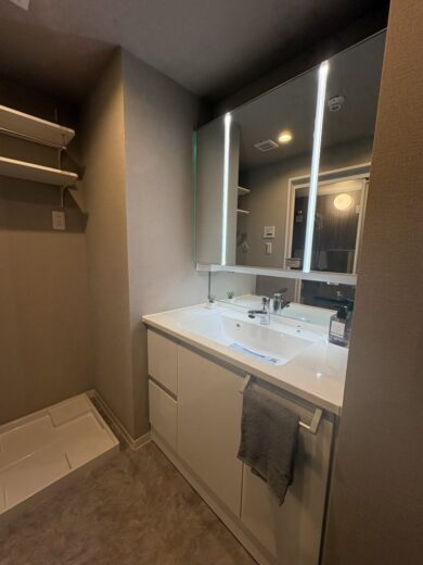 洗面化粧台(内装) 洗面化粧台(内装)