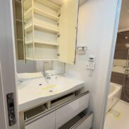 洗面化粧台(内装) 洗面化粧台(内装)