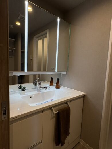 洗面化粧台(内装) 洗面化粧台(内装)