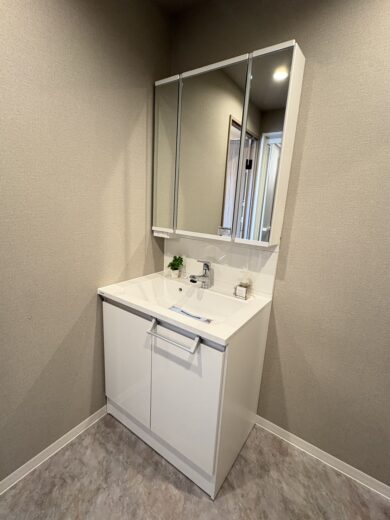 洗面化粧台(内装) 洗面化粧台(内装)