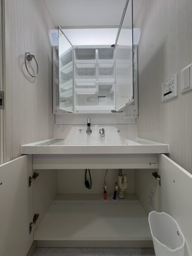 洗面化粧台(内装) 洗面化粧台(内装)