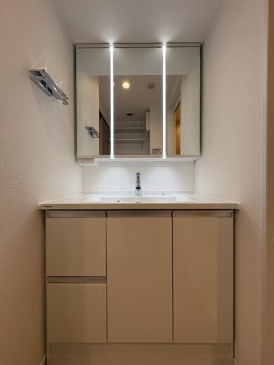 洗面化粧台(内装)