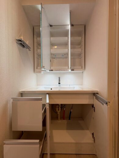 洗面化粧台(内装)