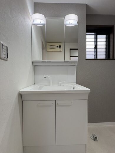 洗面化粧台(内装)